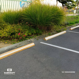 butee-parking-bois
