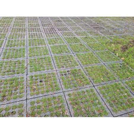 Plaque de roulage temporaire