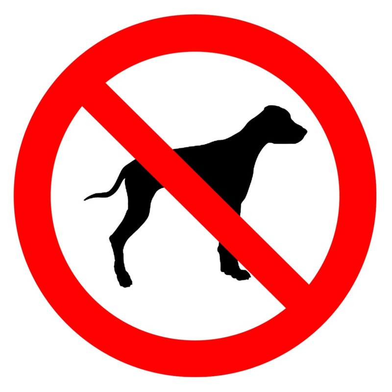 Signalétique adhésive