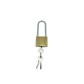 Padlock for Parking Bollard - Viso